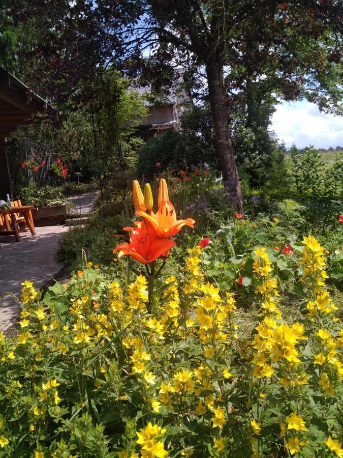 Chalet Le Paradou Adults Only Lessive Εξωτερικό φωτογραφία